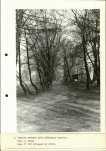 EP - Ewidencja parkowa, skan nr 39