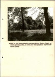 EP - Ewidencja parkowa, skan nr 33