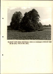 EP - Ewidencja parkowa, skan nr 38
