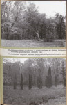 EP - Ewidencja parkowa, skan nr 58
