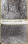 EP - Ewidencja parkowa, skan nr 61