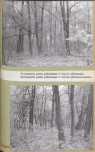 EP - Ewidencja parkowa, skan nr 64