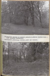EP - Ewidencja parkowa, skan nr 65
