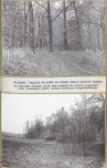 EP - Ewidencja parkowa, skan nr 67