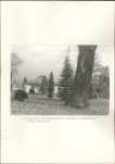 Ewidencja parkowa, skan nr 32