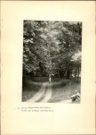 Ewidencja parkowa, skan nr 31