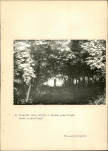 Ewidencja parkowa, skan nr 32