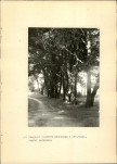 Ewidencja parkowa, skan nr 28