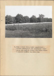 EP - Ewidencja parkowa, skan nr 29