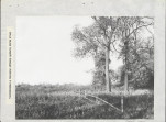 Ewidencja parkowa, skan nr 26