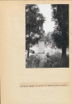 Ewidencja parkowa, skan nr 33