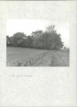 EP - Ewidencja parkowa, skan nr 20