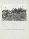 Ewidencja parkowa, skan nr 60