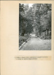 Ewidencja parkowa, skan nr 32