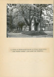 Ewidencja parkowa, skan nr 33
