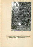 Ewidencja parkowa, skan nr 36