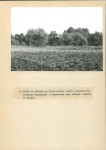 Ewidencja parkowa, skan nr 39