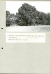 EP - Ewidencja parkowa, skan nr 33