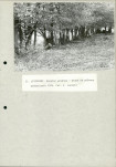 EP - Ewidencja parkowa, skan nr 39