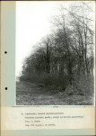 Ewidencja parkowa, skan nr 42