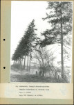 Ewidencja parkowa, skan nr 43