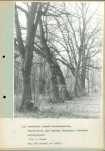 Ewidencja parkowa, skan nr 46