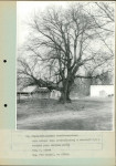 Ewidencja parkowa, skan nr 54