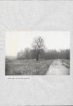 EP - Ewidencja parkowa, skan nr 31