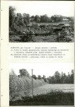 EP - Ewidencja parkowa, skan nr 59