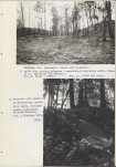 Ewidencja parkowa, skan nr 40
