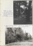 Ewidencja parkowa, skan nr 41