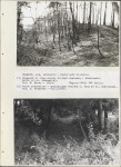 Ewidencja parkowa, skan nr 45