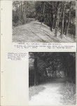 Ewidencja parkowa, skan nr 46