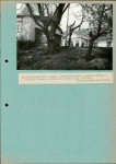 Ewidencja parkowa, skan nr 38