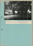 Ewidencja parkowa, skan nr 53