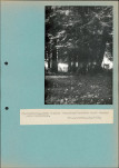 Ewidencja parkowa, skan nr 54