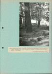 Ewidencja parkowa, skan nr 56