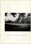 EP - Ewidencja parkowa, skan nr 40