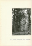 EP - Ewidencja parkowa, skan nr 43