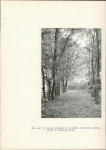 EP - Ewidencja parkowa, skan nr 45