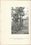 EP - Ewidencja parkowa, skan nr 46