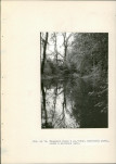 EP - Ewidencja parkowa, skan nr 49