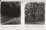 Ewidencja parkowa, skan nr 48