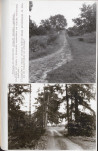 Ewidencja parkowa, skan nr 50