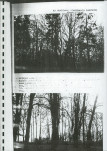 Ewidencja parkowa, skan nr 26