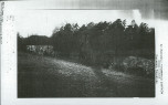 Ewidencja parkowa, skan nr 28