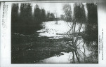 Ewidencja parkowa, skan nr 30