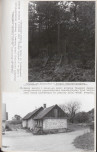 Ewidencja parkowa, skan nr 53