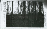 Ewidencja parkowa, skan nr 33