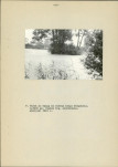 EP - Ewidencja parkowa, skan nr 15